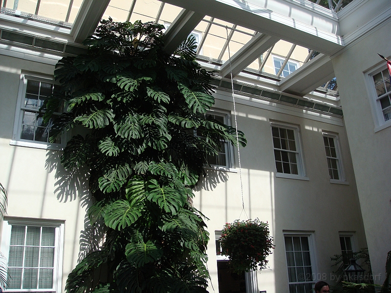 112 Longwood Gardens [2008 August 23].JPG - Longwood Gardens in Pennsylvania